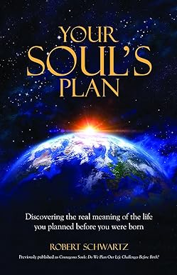 your soul's plan by robert schwartz